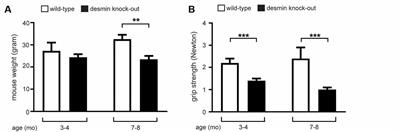 Lack of Desmin in Mice Causes Structural and Functional Disorders of Neuromuscular Junctions